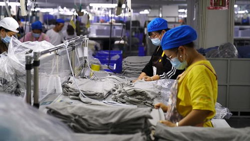 四新 四化 鏡距離 烏蒙大山里的制衣工廠,產(chǎn)品遠銷海外