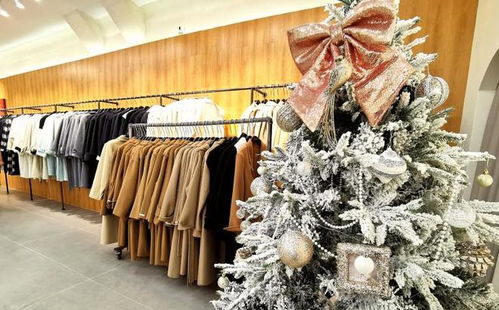 江蘇雙面呢服裝市場(chǎng)被授予全國商品市場(chǎng)最具發(fā)展?jié)摿κ袌?chǎng)